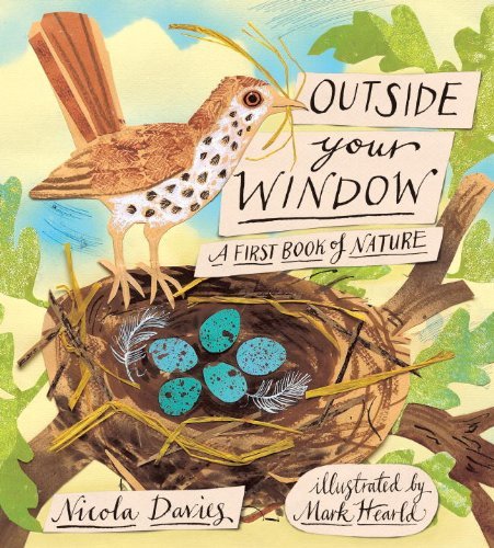 Nicola Davies Outside Your Window A First Book Of Nature 