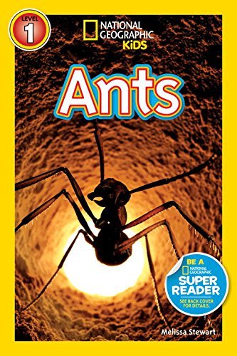 Melissa Stewart/Ants