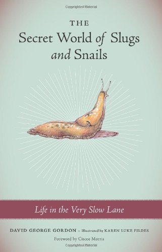 David George Gordon Secret World Of Slugs And Snails The Life In The Very Slow Lane 