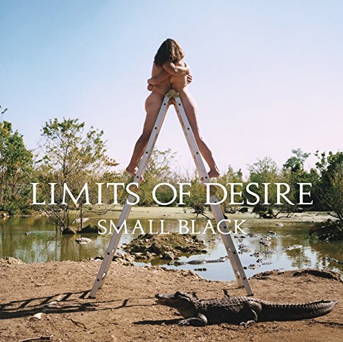 Small Black/Limits Of Desire