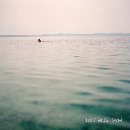Blue Cranes Swim 