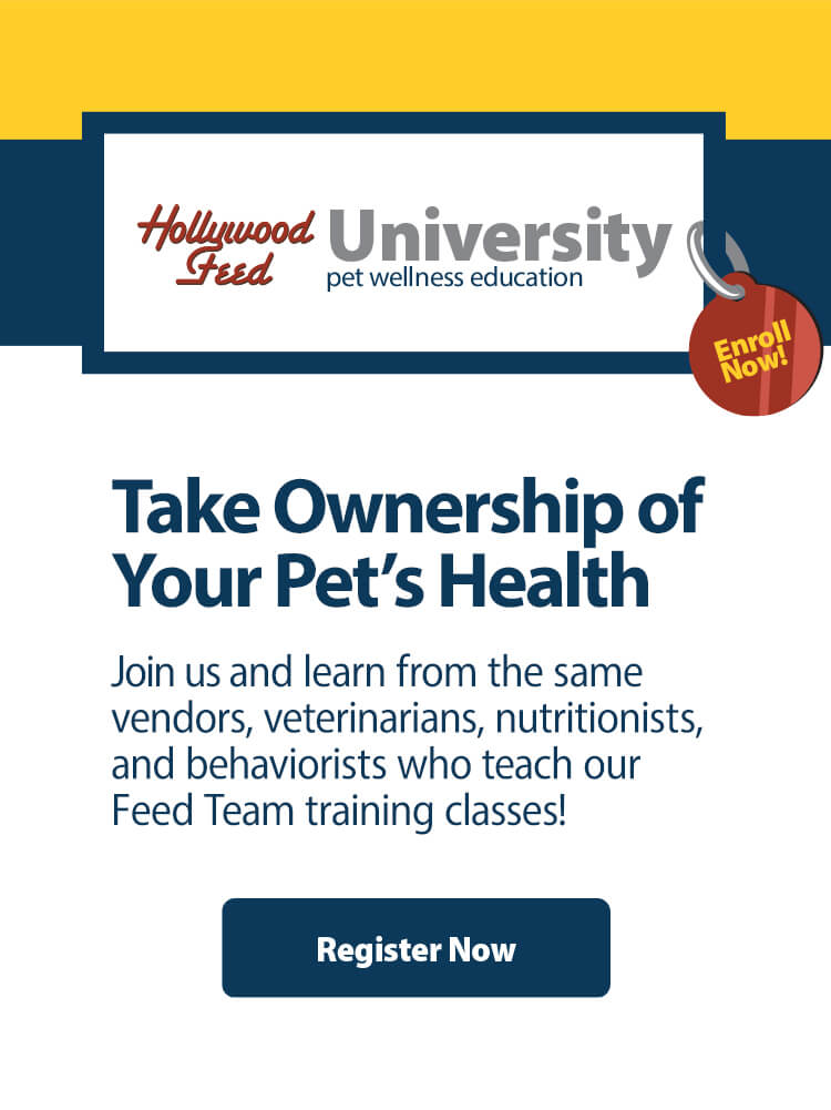 Hollywood Feed Offers online Pet Education classes through Hollywood Feed University where you can learn from the same vendors, nutritionists, veterinarians, and behaviorists that teach the Feed Team. Click to learn more.