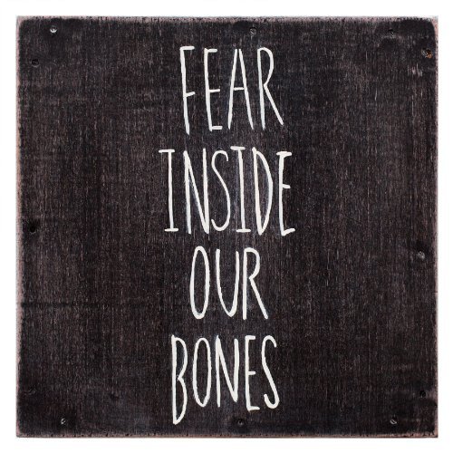 Almost/Fear Inside Our Bones