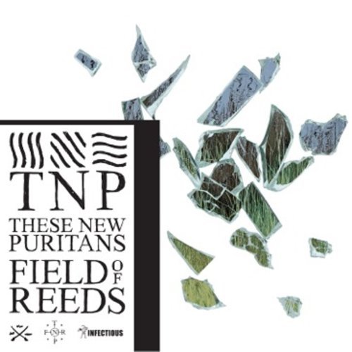 These New Puritans Field Of Reeds Import Eu 