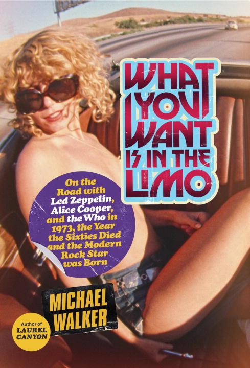 Michael Walker/What You Want Is in the Limo