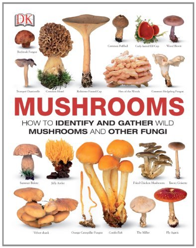 DK/Mushrooms@ How to Identify and Gather Wild Mushrooms and Oth
