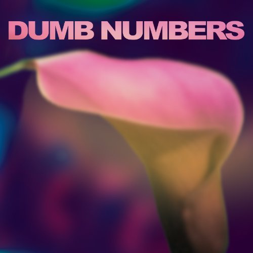 Dumb Numbers/Dumb Numbers