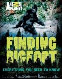 Animal Planet Finding Bigfoot Everything You Need To Know 