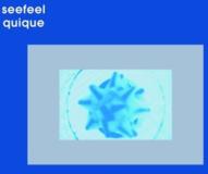 Ch Vox) Redux - Seefeel - Brand New LP - Brand New - 海外 即決-