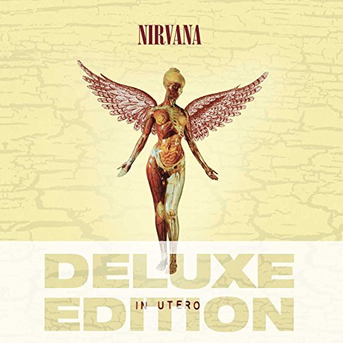 Nirvana In Utero 20th Anniversary Delu Deluxe Ed. 2 CD 