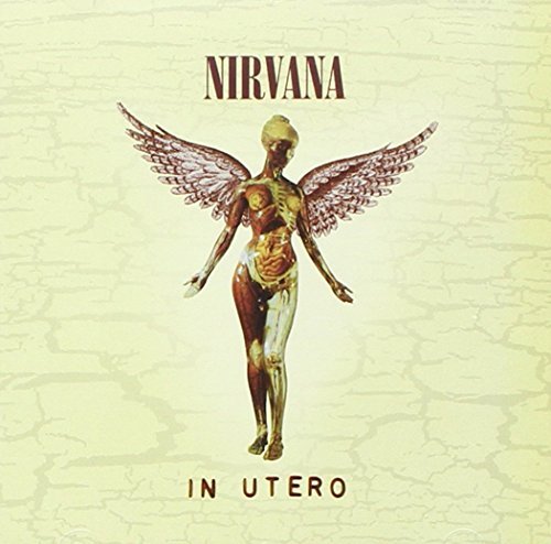 Nirvana In Utero 20th Anniversary 