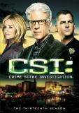 Csi Season 13 DVD 