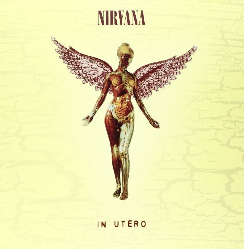 Nirvana/In Utero: 20th Anniversary@Super Deluxe@3 Cd/Dvd