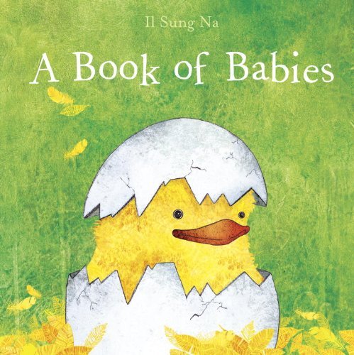 Il Sung Na A Book Of Babies 