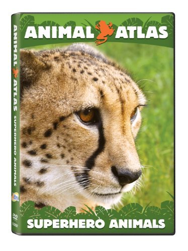 Superhero Animals/Animal Atlas@Nr