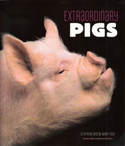 Stephen Green Armytage Extraordinary Pigs 