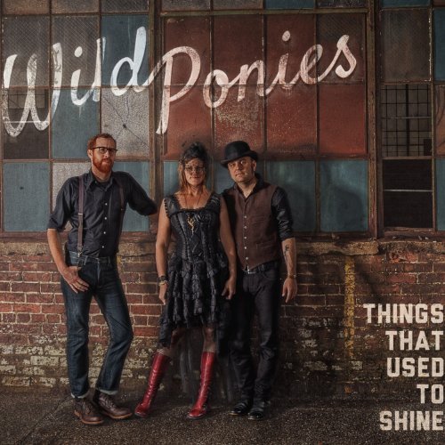 Wild Ponies/Things That Used To Shine