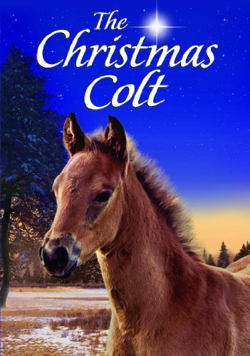 Christmas Colt/Christmas Colt@Nr
