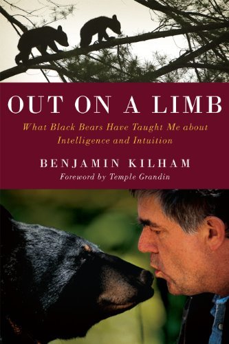 Benjamin Kilham Out On A Limb What Black Bears Have Taught Me About Intelligenc 