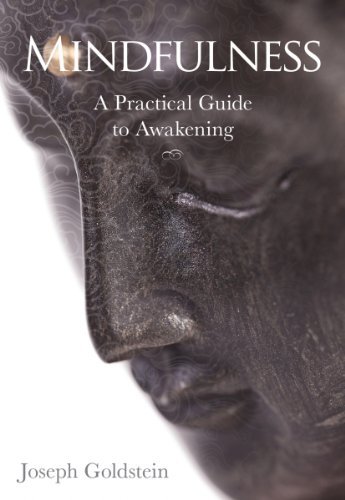 Joseph Goldstein Mindfulness A Practical Guide To Awakening 