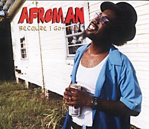 Afroman/Because I Got High