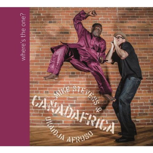 Canadafrica: Mike Stevens & Ok/Wheres The One?