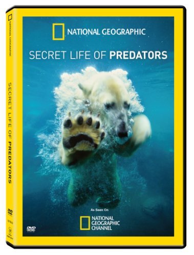 Secret Life Of Predators/Secret Life Of Predators@Nr