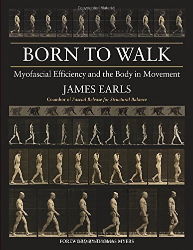 James Earls Born To Walk Myofascial Efficiency And The Body In Movement 