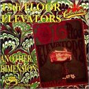 13th floor elevators/Another Dimension
