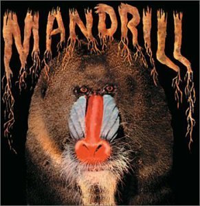 Mandrill/Mandrill