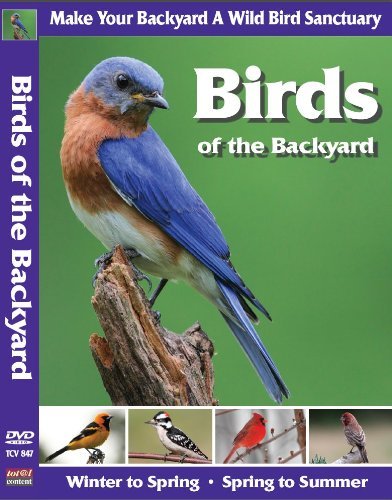 Birds Of The Backyard Birds Of The Backyard Nr 