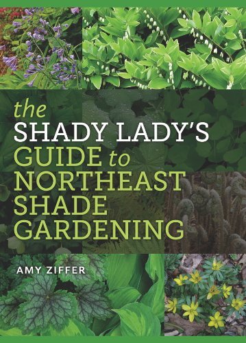 Amy Ziffer The Shady Lady's Guide To Northeast Shade Gardenin 
