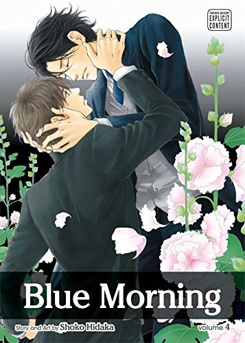 Shoko Hidaka/Blue Morning, Vol. 4