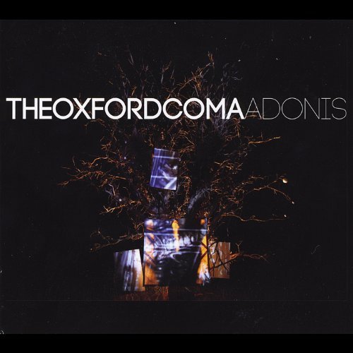 Oxford Coma/Adonis