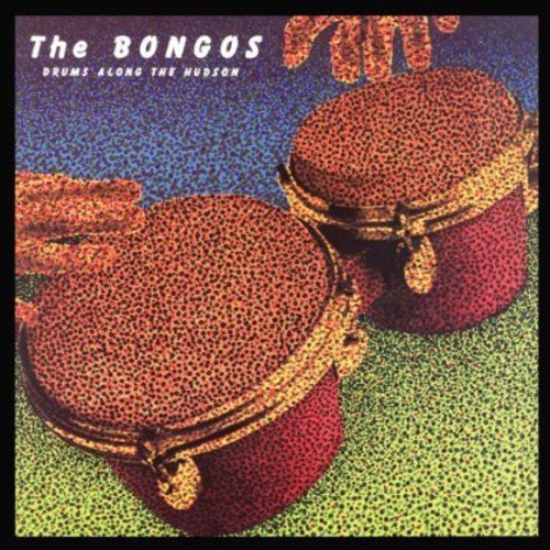 Bongos/Drums Along The Hudson