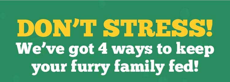 Don't stress, we've got 4 ways to keep your furry family fed