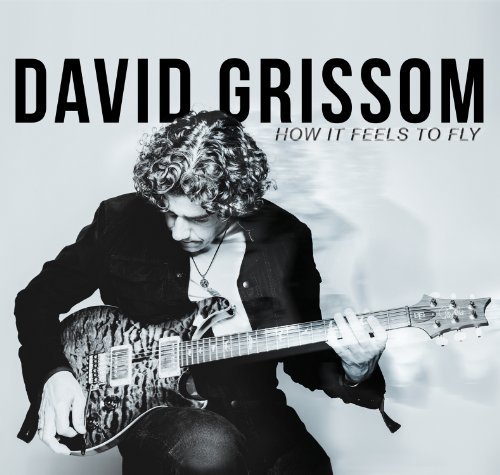 David Grissom/How It Feels To Fly