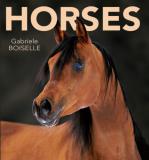 Gabriele Boiselle Horses Revised 