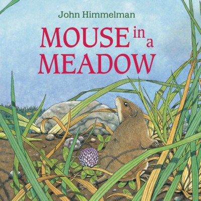 John Himmelman/Mouse In A Meadow
