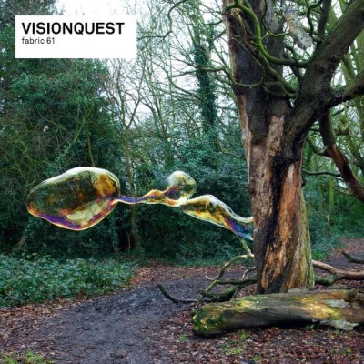 Visionquest/Fabric 61: Visionquest