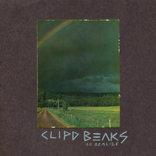 Clipd Beaks/To Realize@2 Lp Set
