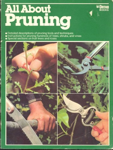 Ortho/All About Pruning@All About Pruning