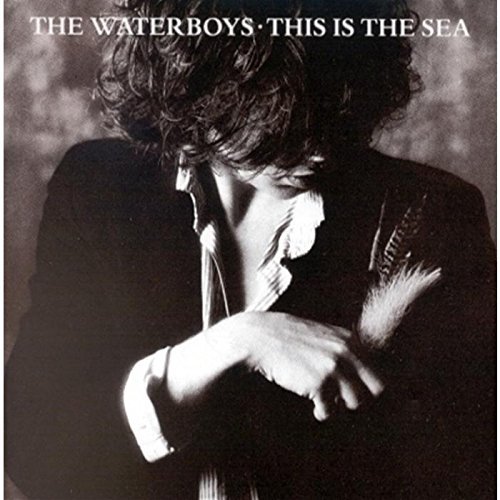 Waterboys/This Is The Sea