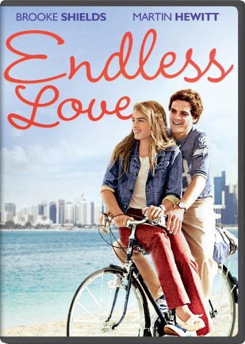 Endless Love Shields Hewitt DVD R 