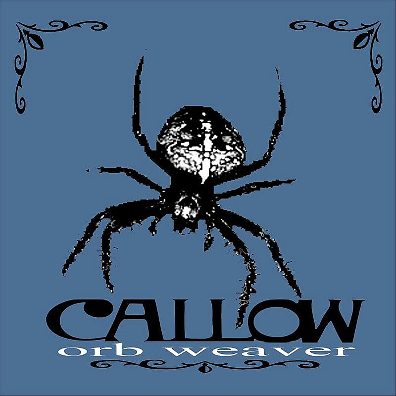 Callow/Orb Weaver