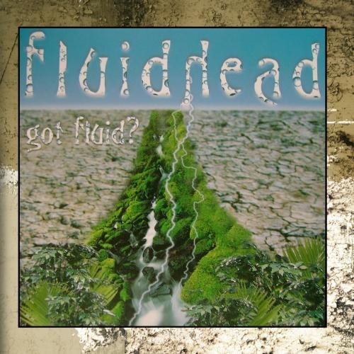 Fluidhead/Got Fluid?