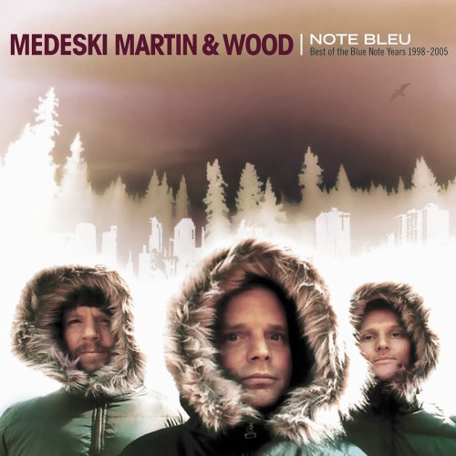 Medeski/Martin/Wood/Note Bleu: Best Of Medeski Mar