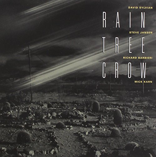 Rain Tree Crow/Rain Tree Crow
