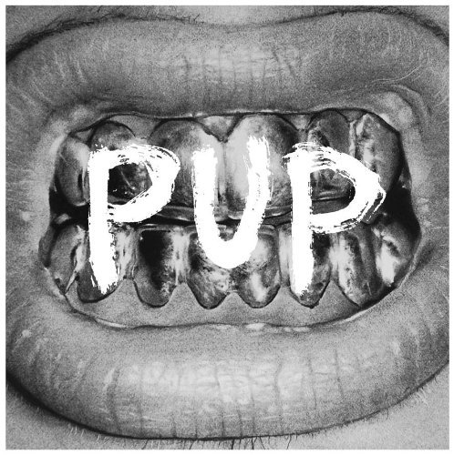 Album Art for Pup by Pup