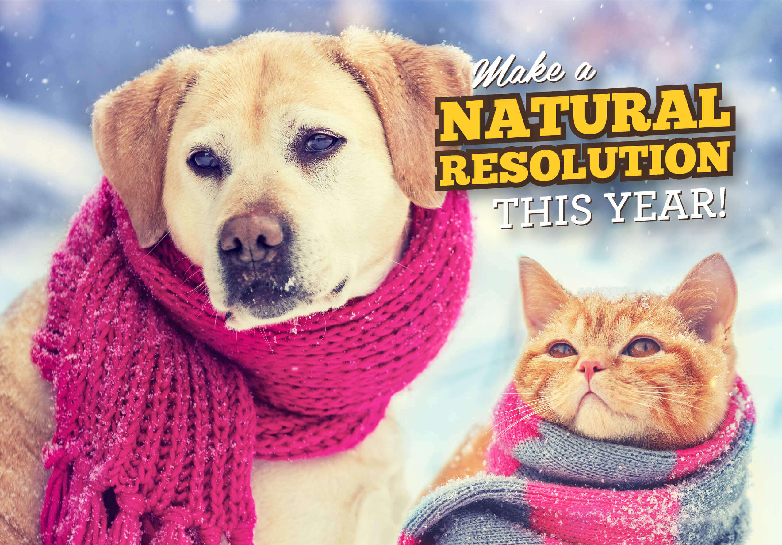 January Flyer - Make a Natural Resolution This Year